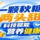 金秋金陵，第115届秋季全国糖酒会，食饮新航标，指引方向