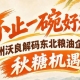 解锁秋糖财富商机 神州沃良解读东北粮油企业拓业新赛道